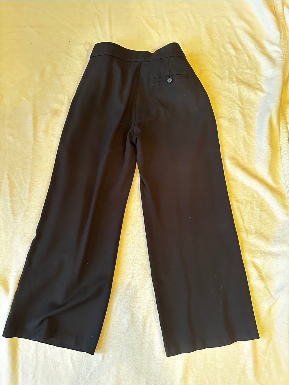 SPANX Sleek Black Pull-On Pants - Picture 3 of 4